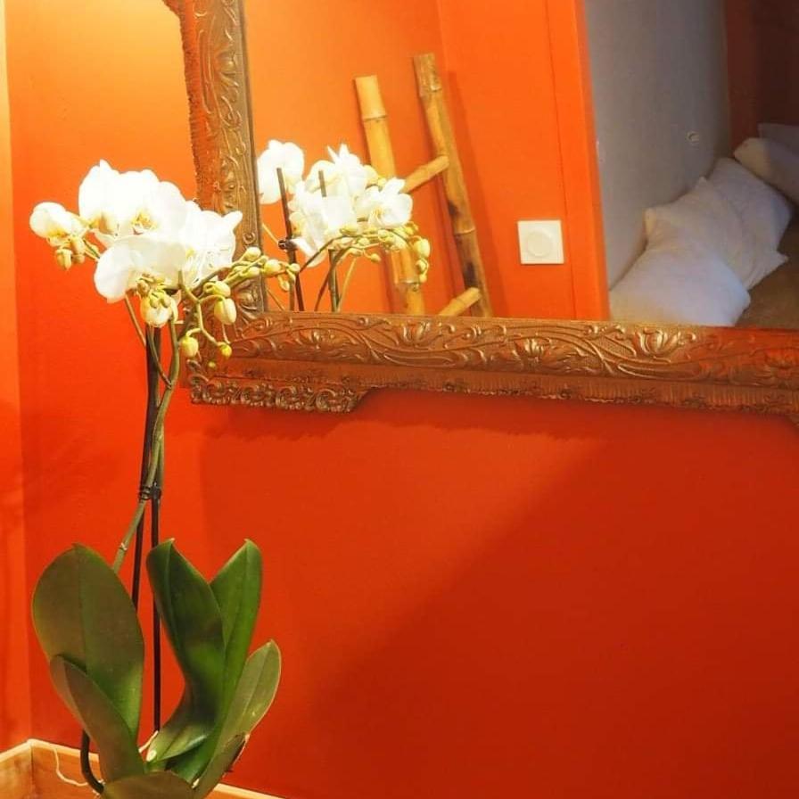 La Terrasse Vigneronne Bed & Breakfast Fitou Luaran gambar